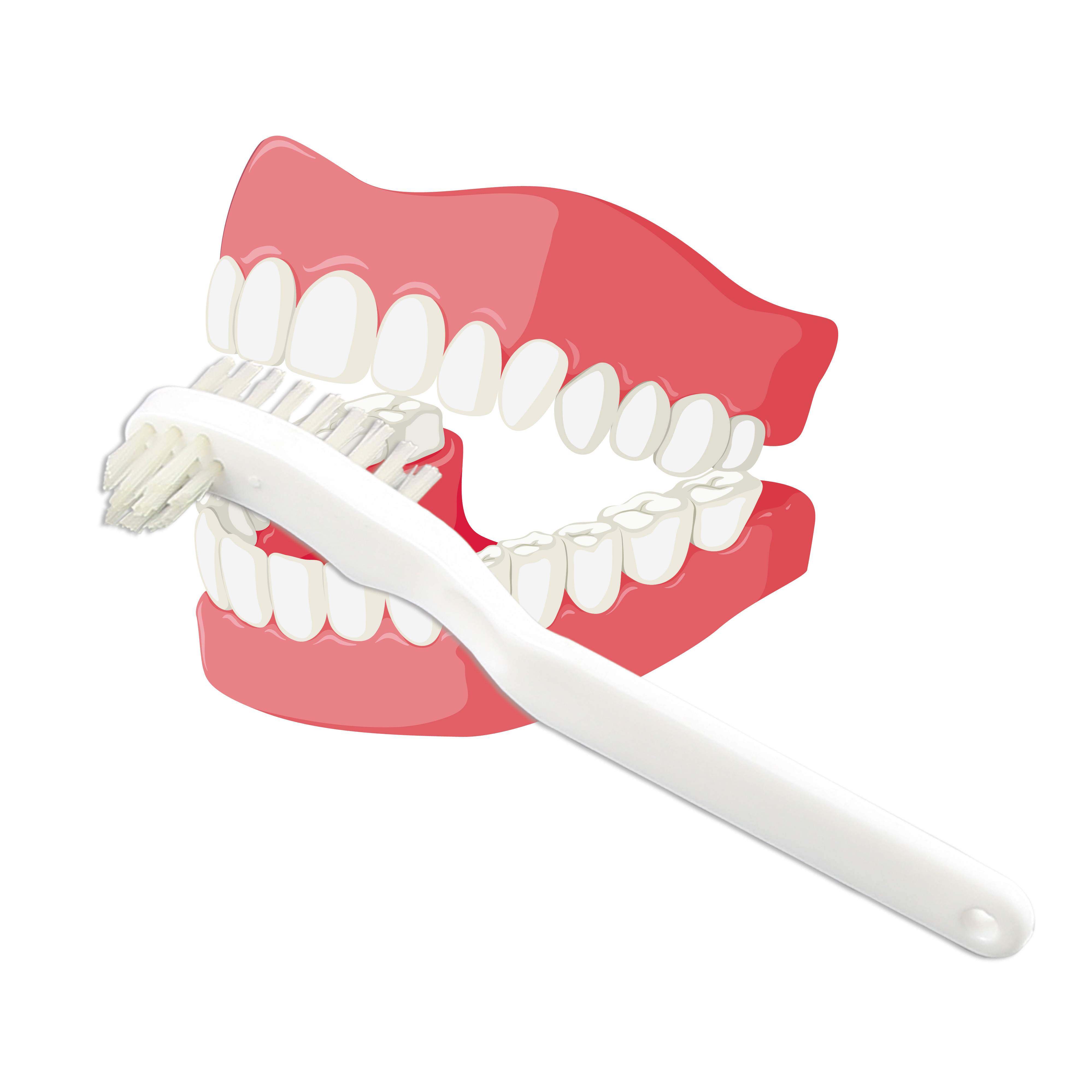 S001-small-false toothbrush